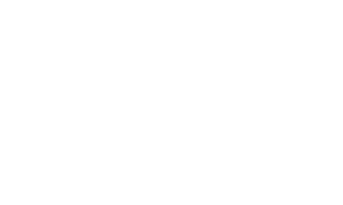 Logo Villa Cecchin intro